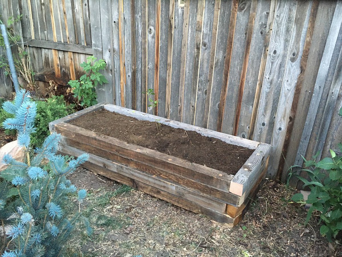 DIY planter made from free cedar 4x4s