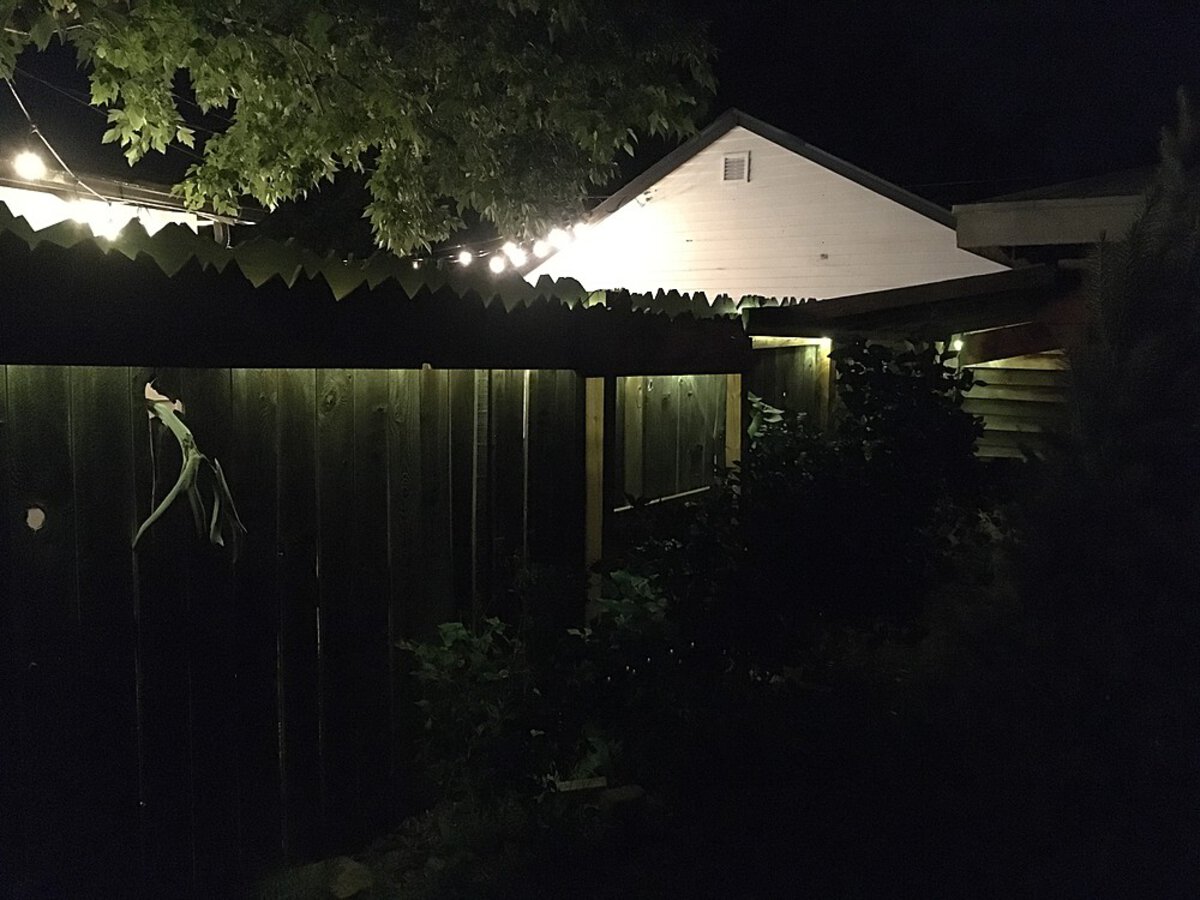 Plants and lights along the fence line