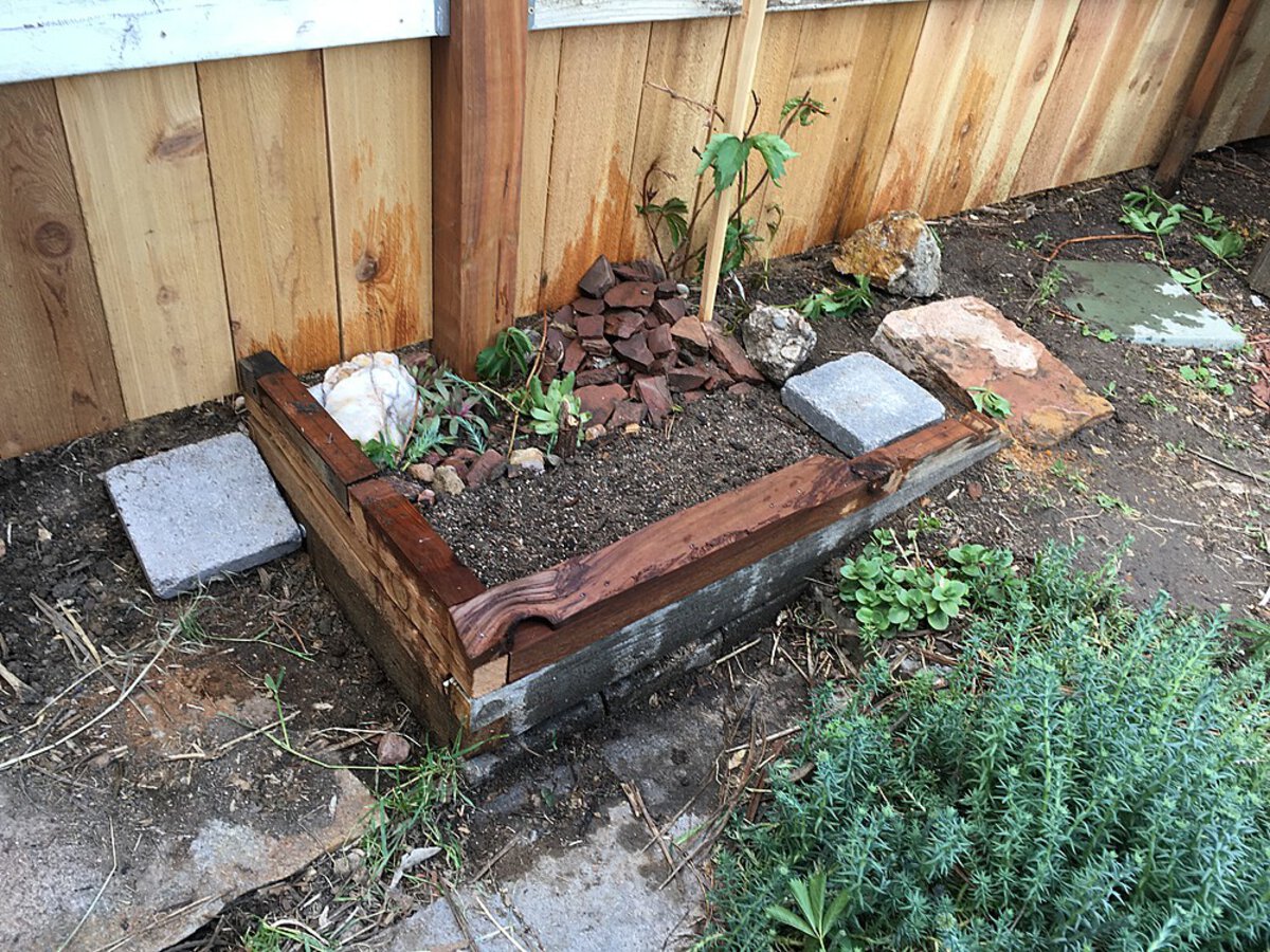 Succulents in a small planter